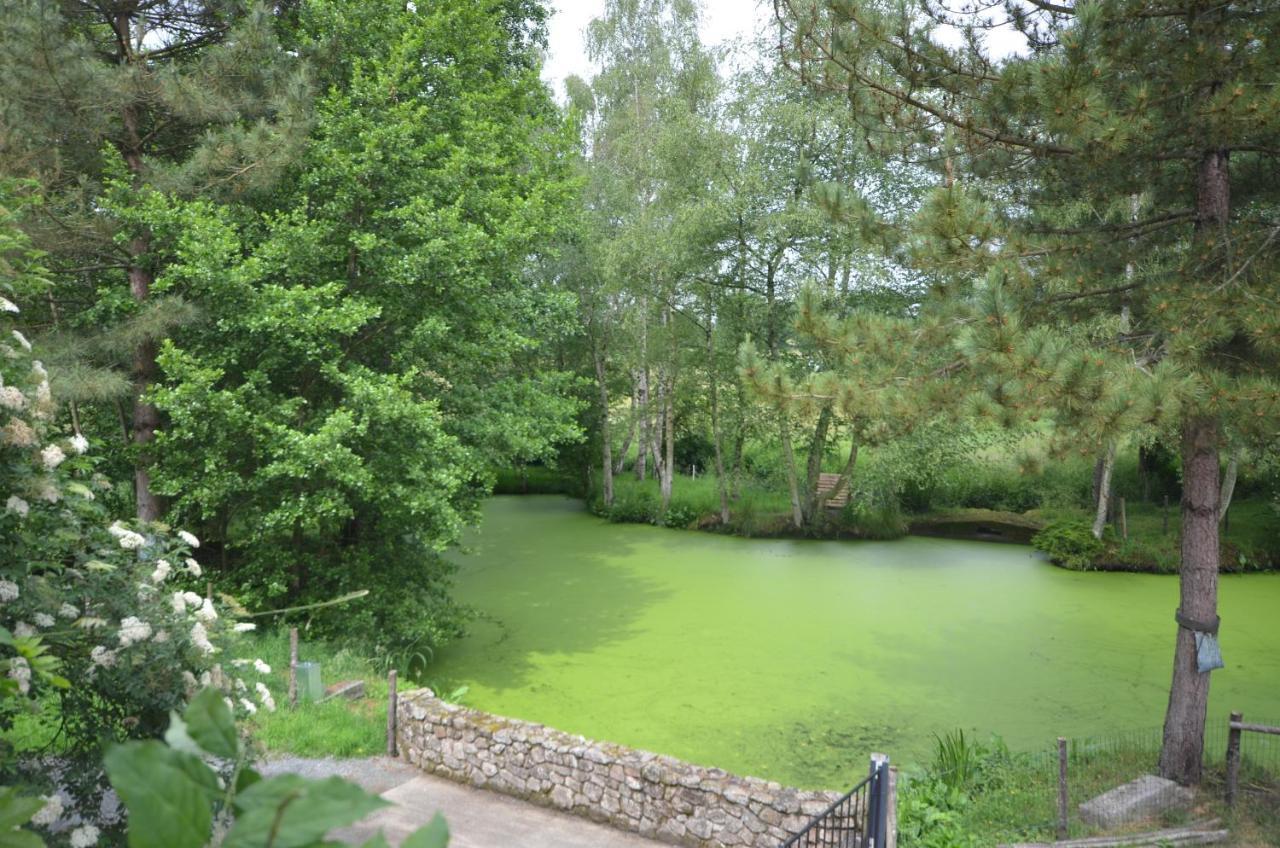 Le Moulin De Charin Bed & Breakfast La Pommeraie-sur-Sevre Exterior photo